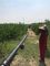 40 मिमी 50 मिमी ग्रामीण पॉली पाइप जल आपूर्ति सिंचाई प्रणाली